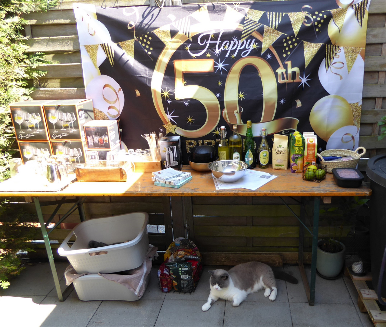 Der erste Geburtstagsgast Foto & Bild  projekte, samstag ist zahl tag, thementage Bilder auf 