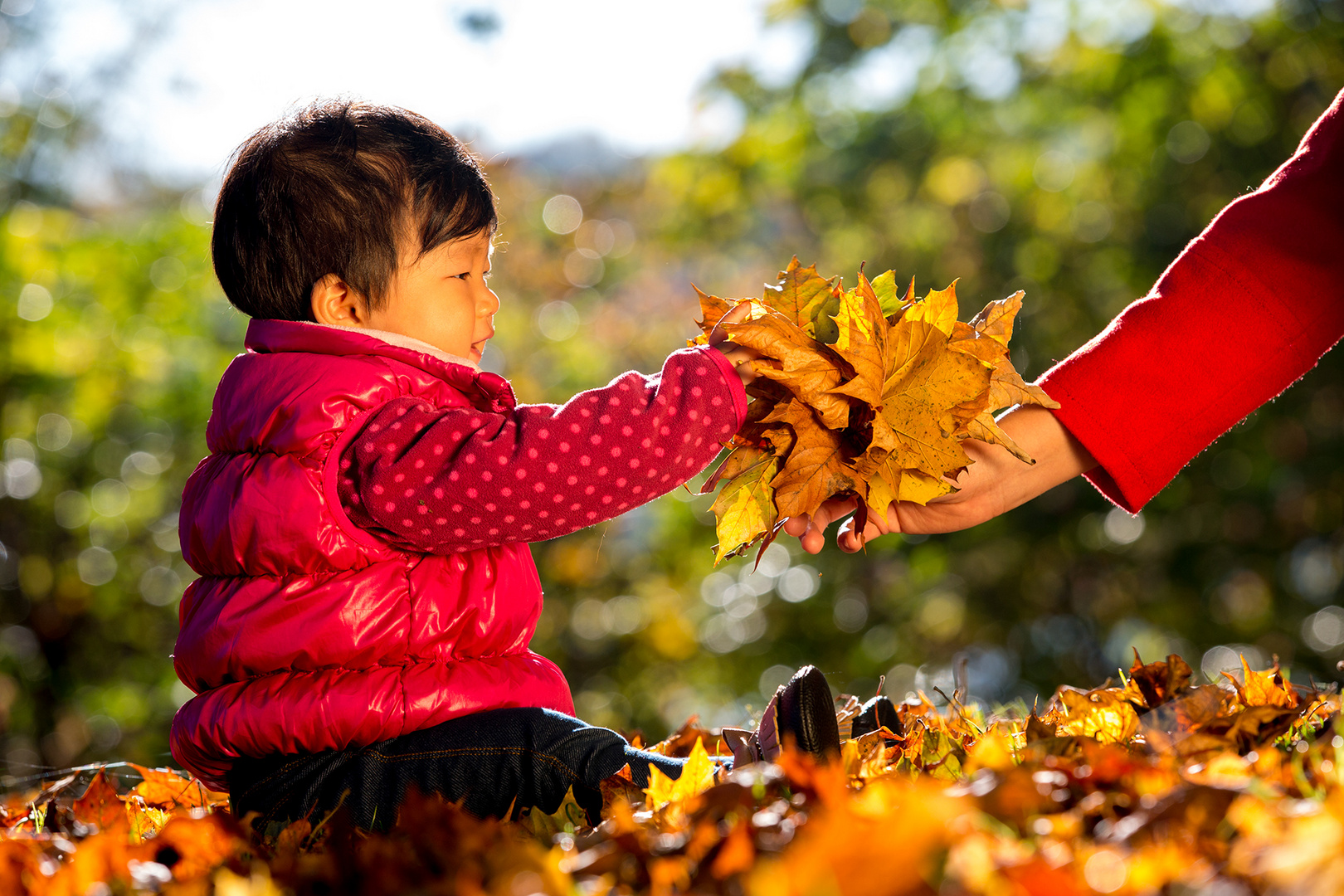 Der erste Herbst