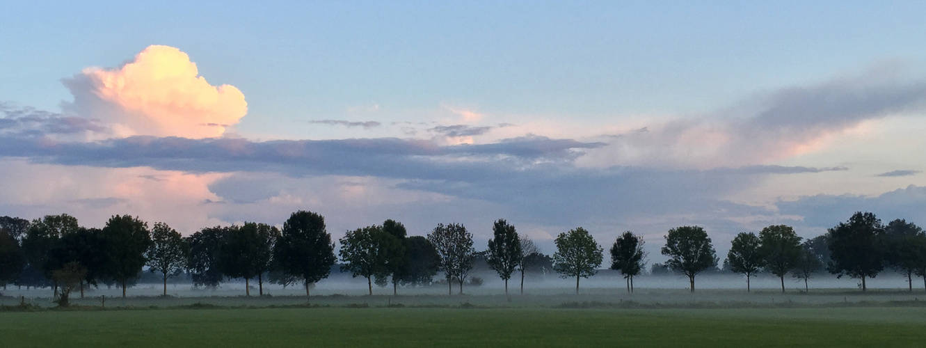 Der erste Herbst-Nebel