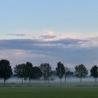 Der erste Herbst-Nebel