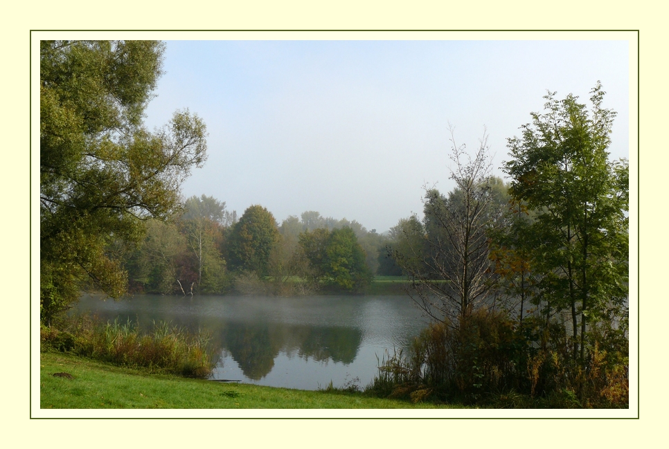 Der erste Herbstnebel... -2-