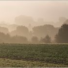 Der erste Herbstnebel