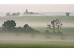 Der erste Herbstnebel