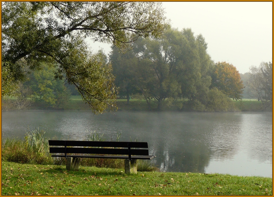 Der erste Herbstnebel...