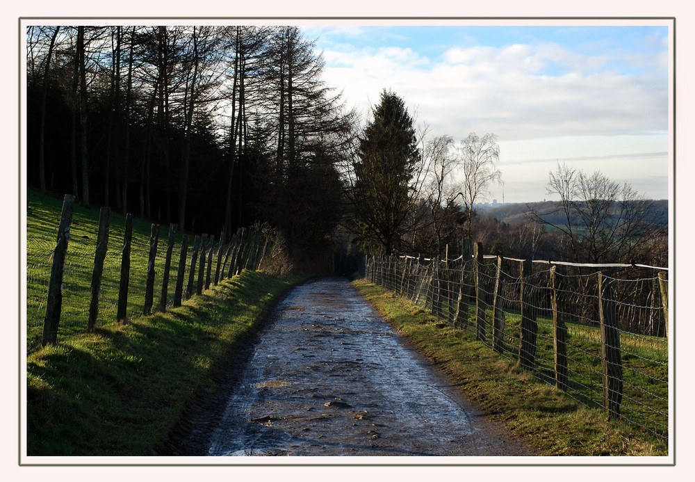 Der erste Herbstspaziergang 2008!