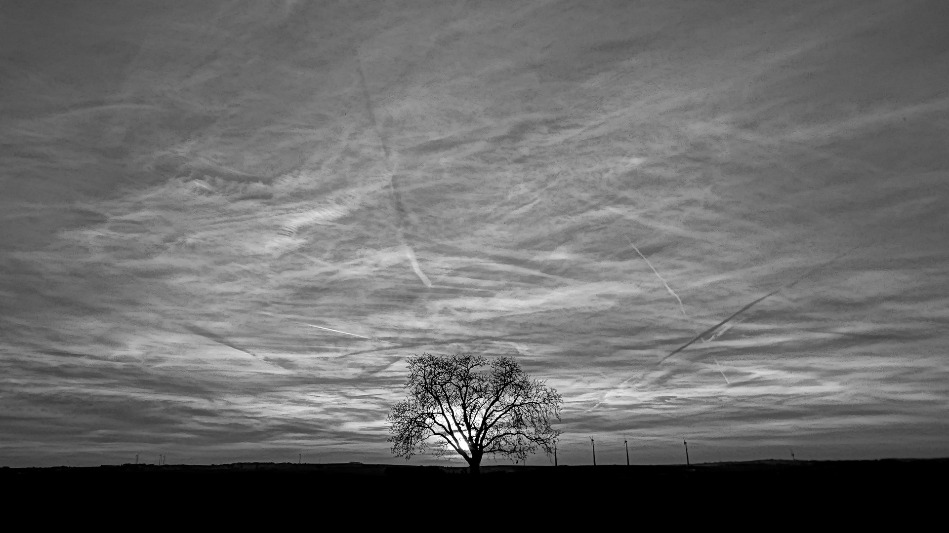 Der erste Horizont b/w