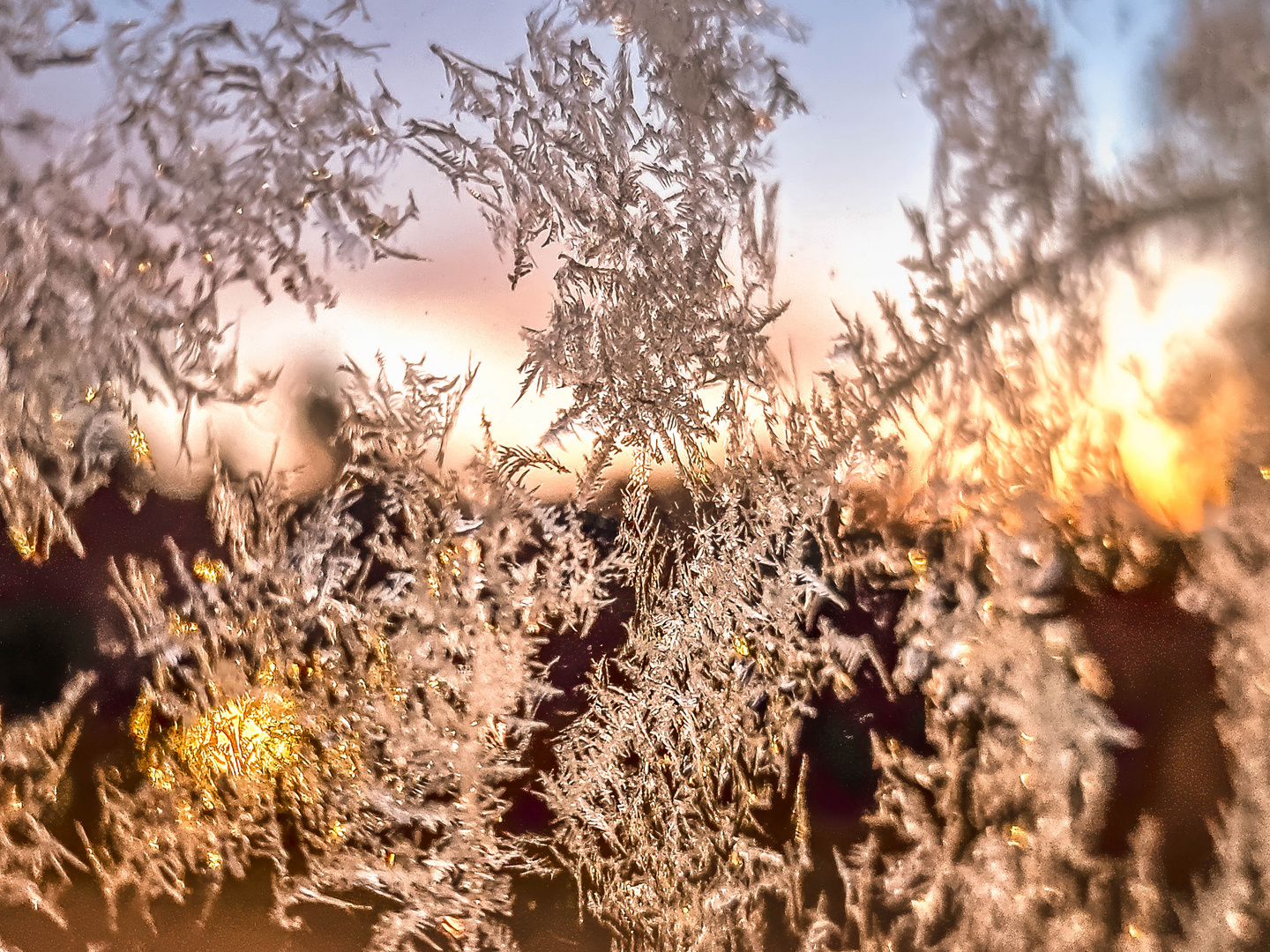 Der erste kalte Herbstmorgen dieses Jahres