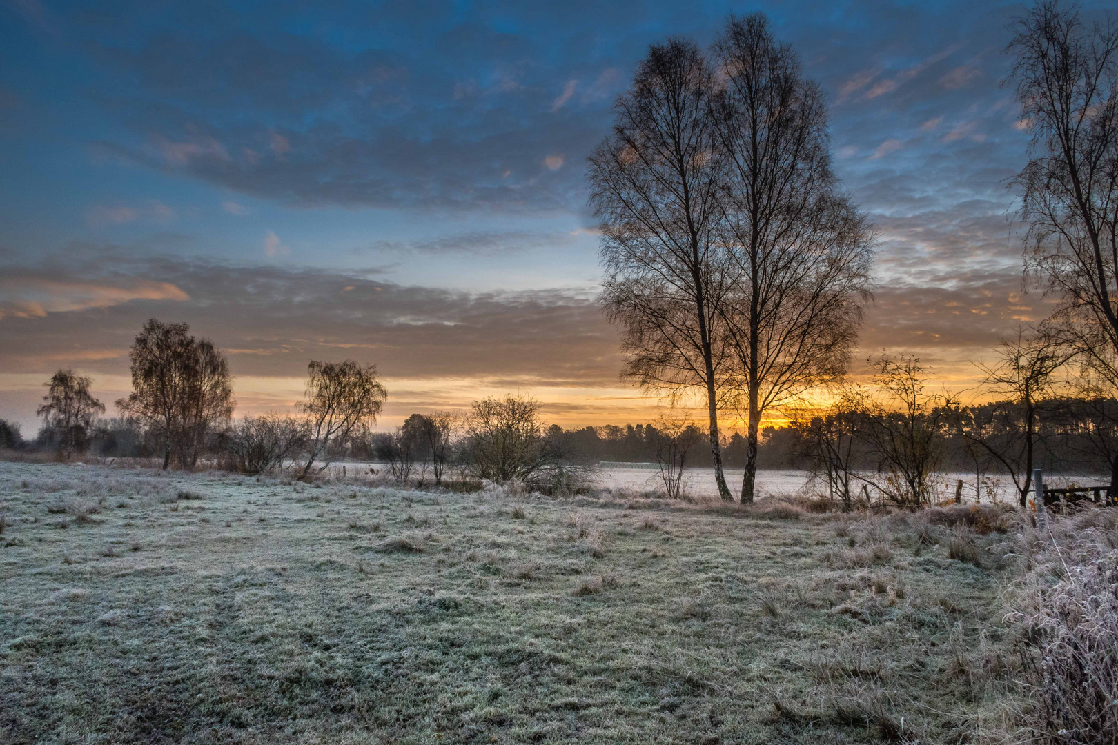 Der erste kalte Morgen dieses Winters1