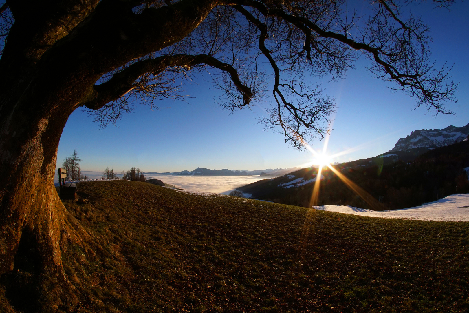 Der erste Lichtblick