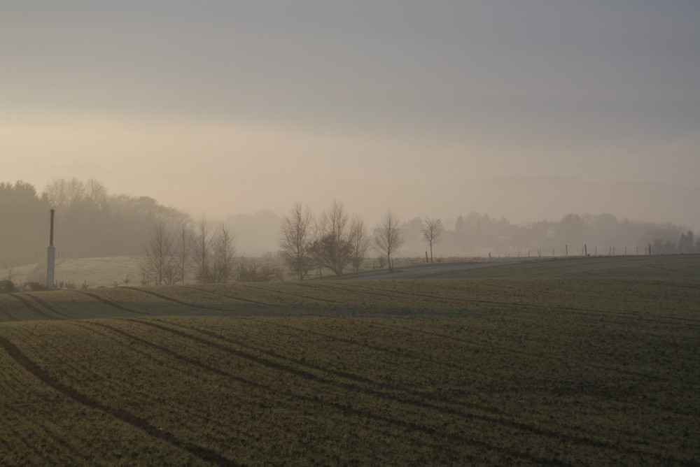 Der Erste Morgen in diesen Jahr 2008.