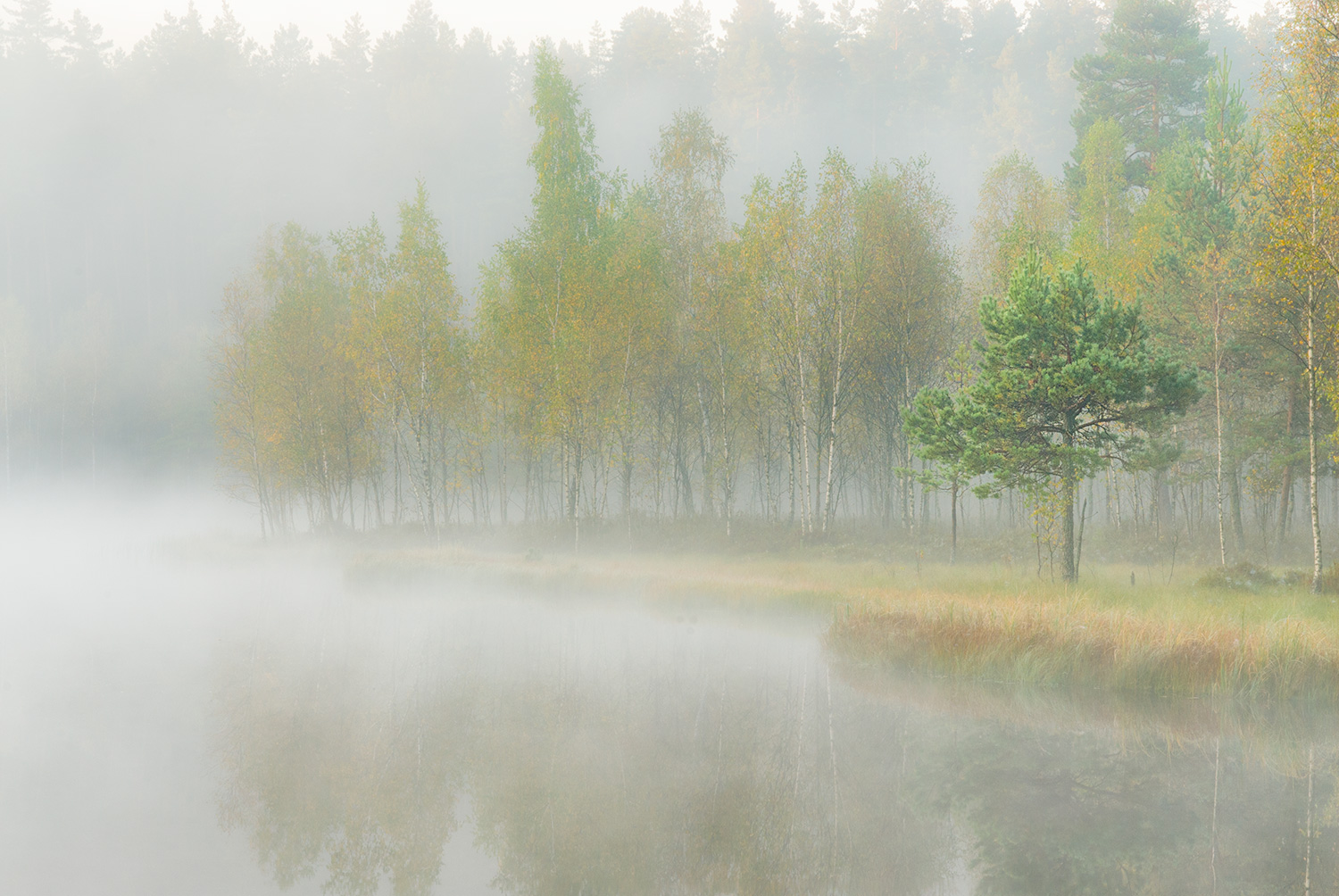 Der erste Morgennebel in diesem Jahr