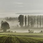 Der erste Nebel