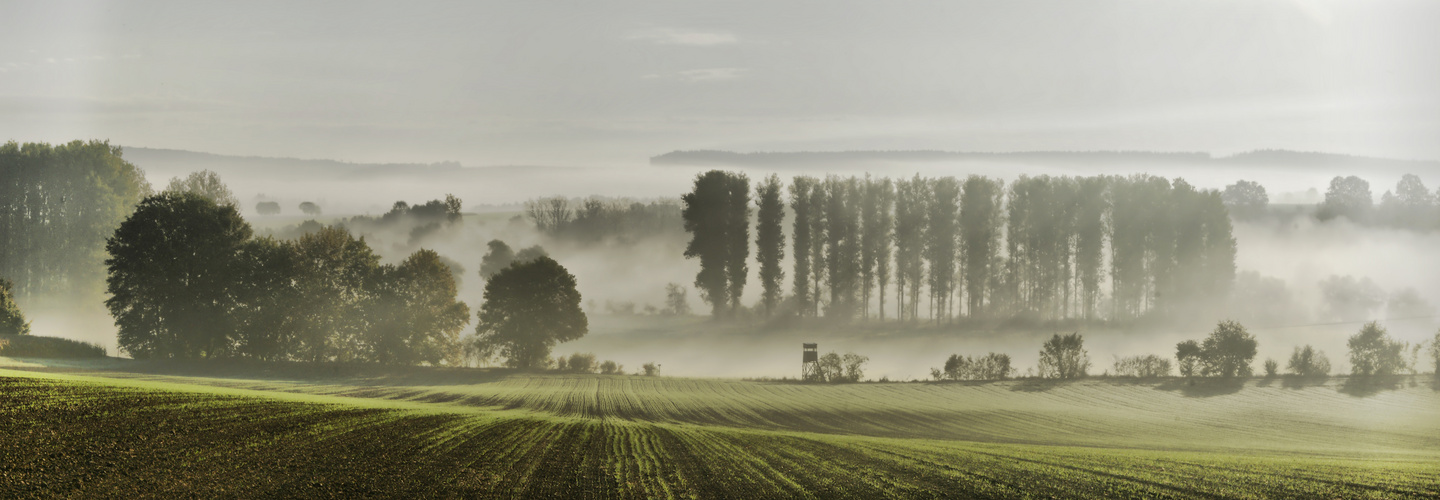 Der erste Nebel