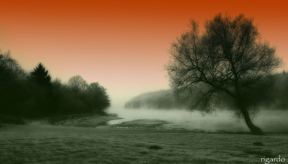 Der erste Nebel am Hochrhein