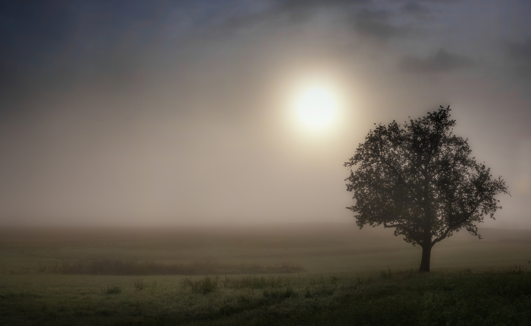 der erste Nebel