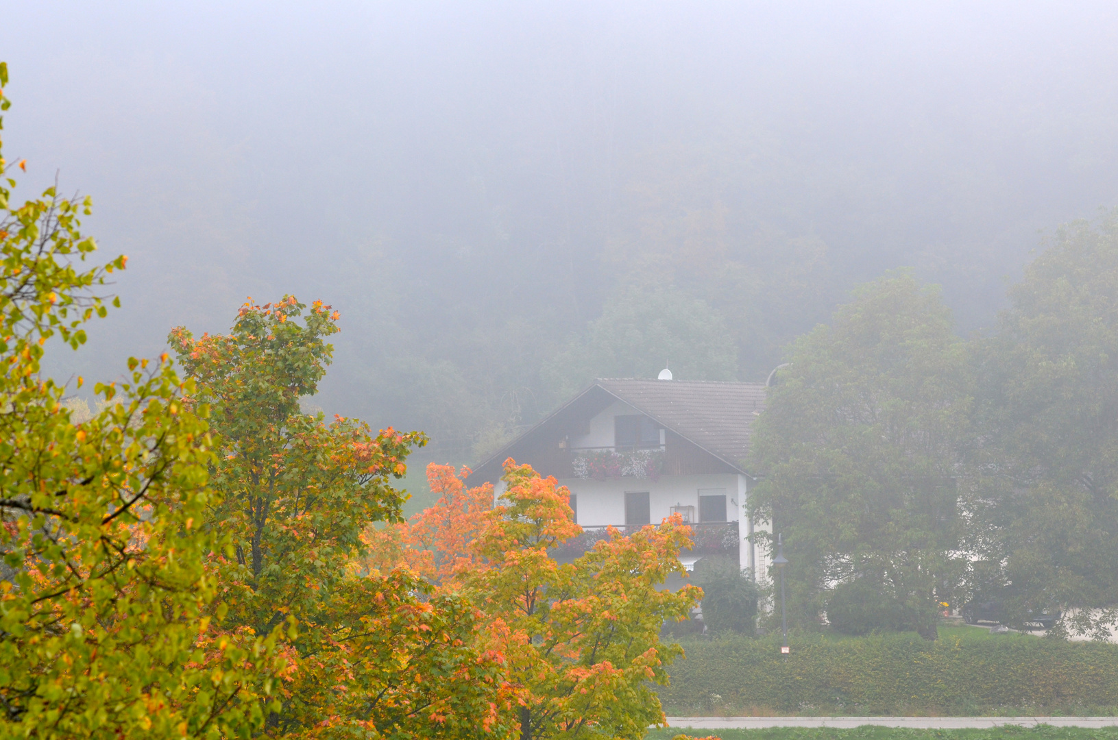 Der erste Nebel ...