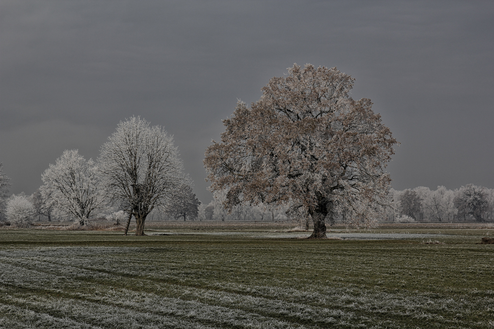 Der erste Raureif