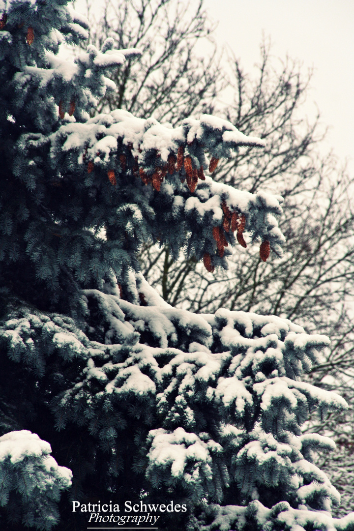 Der erste richtige Schnee