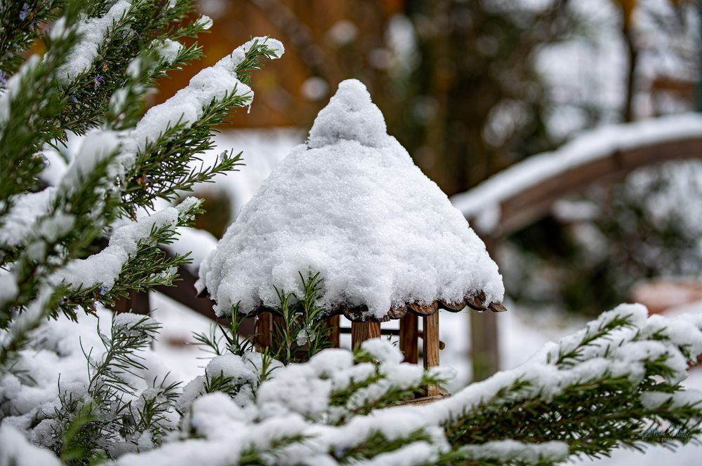 Der erste Schnee