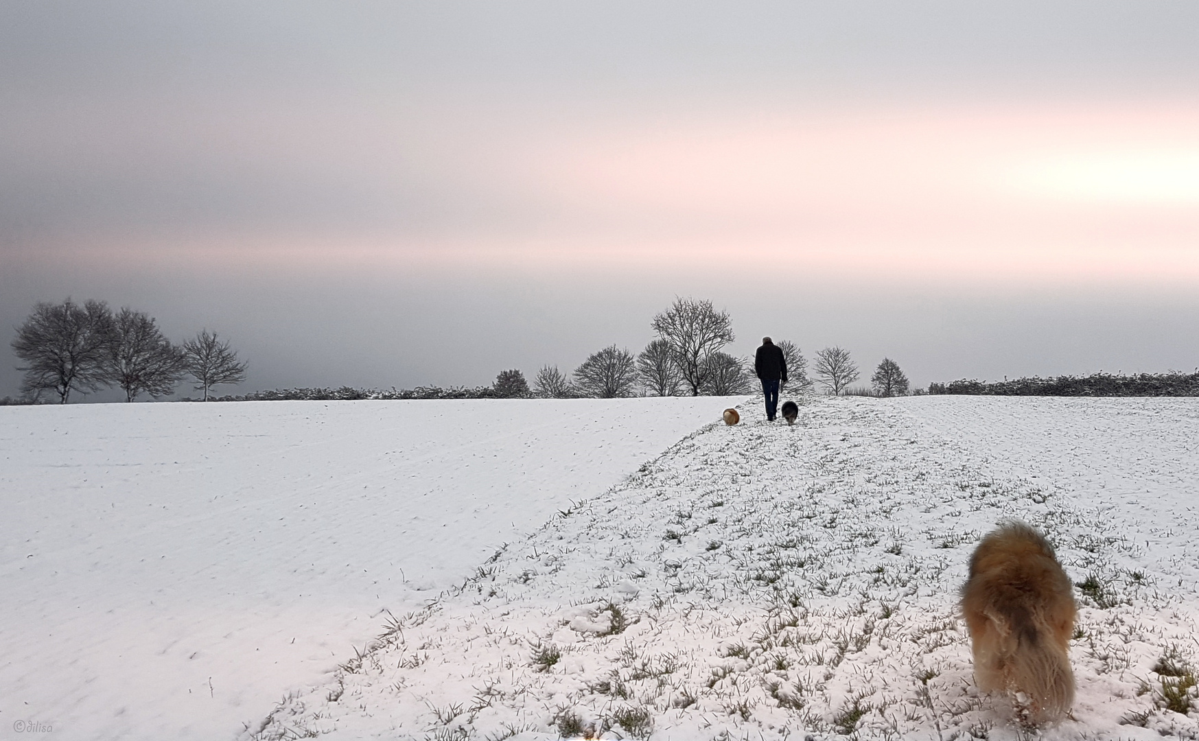 der erste Schnee