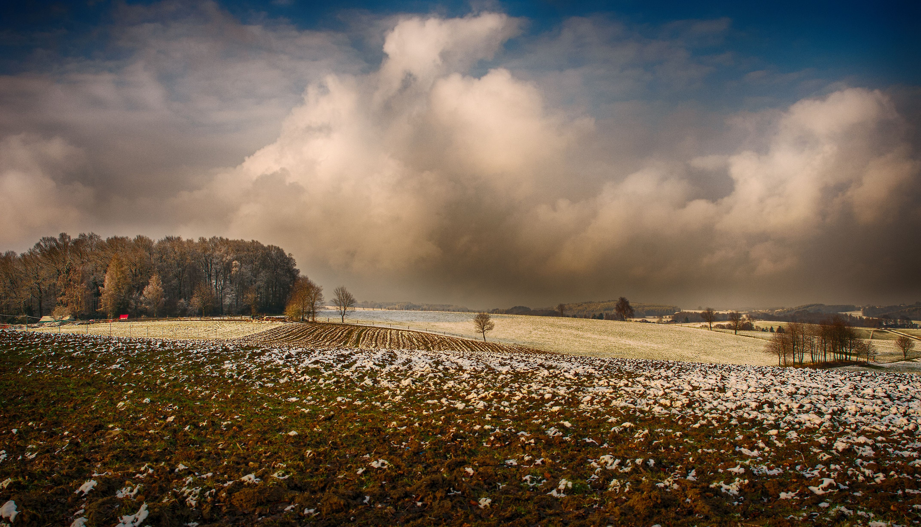 der erste Schnee