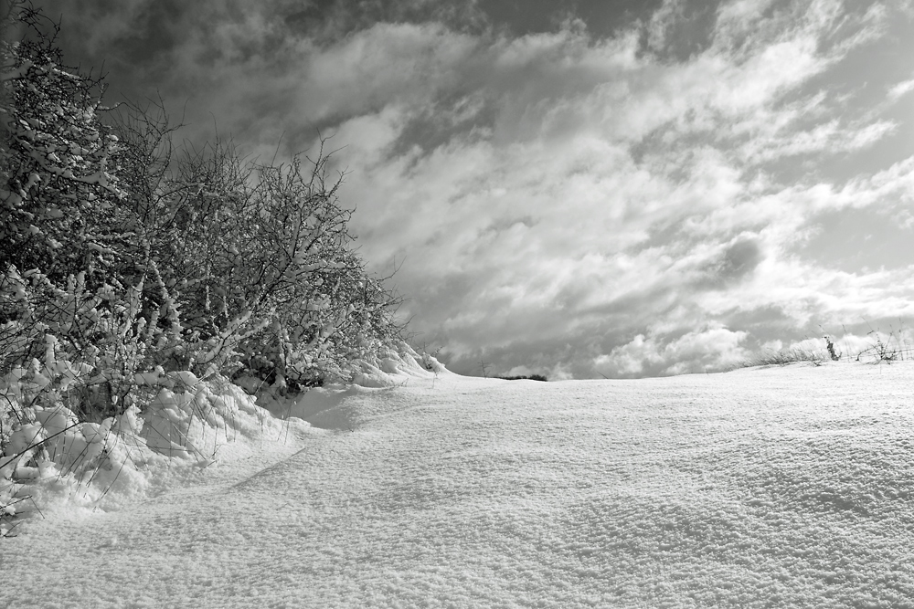 Der erste Schnee