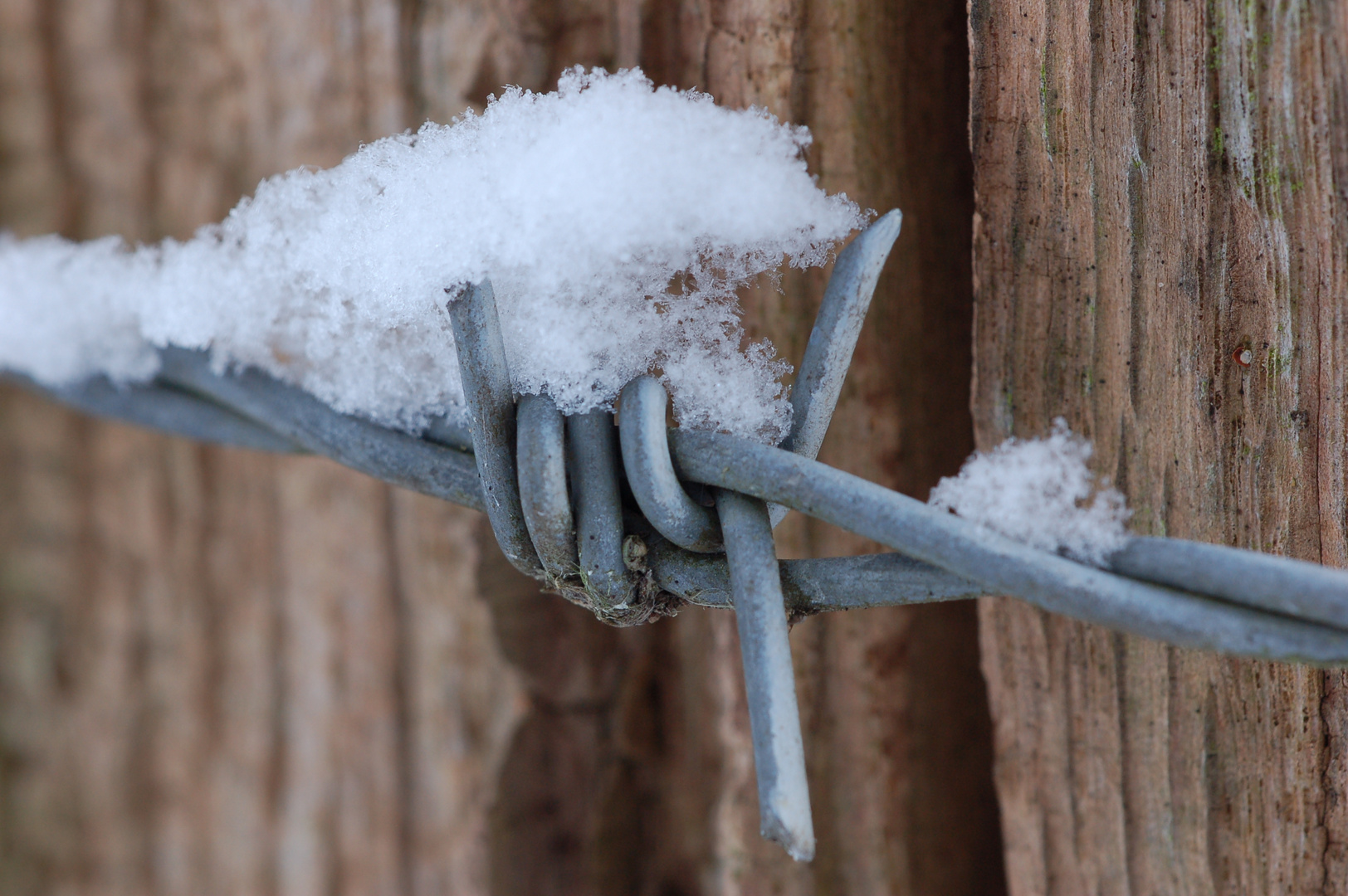 der erste Schnee ...