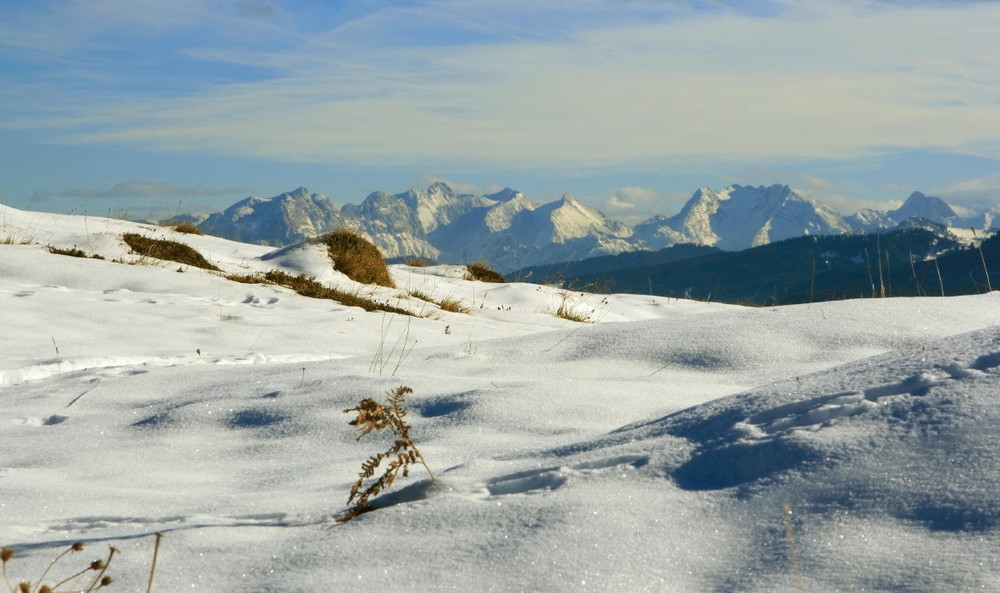 Der erste Schnee