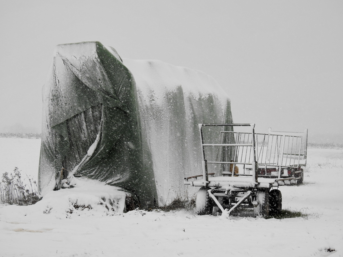   Der erste Schnee.