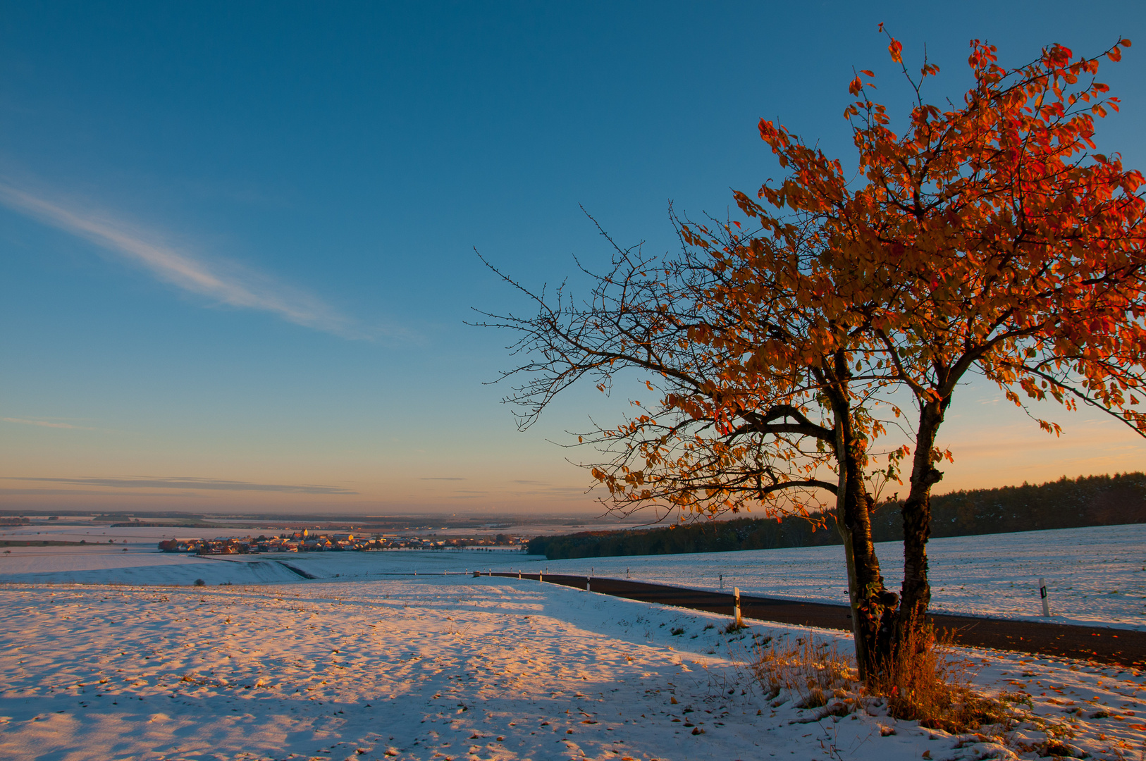 Der erste Schnee (2)