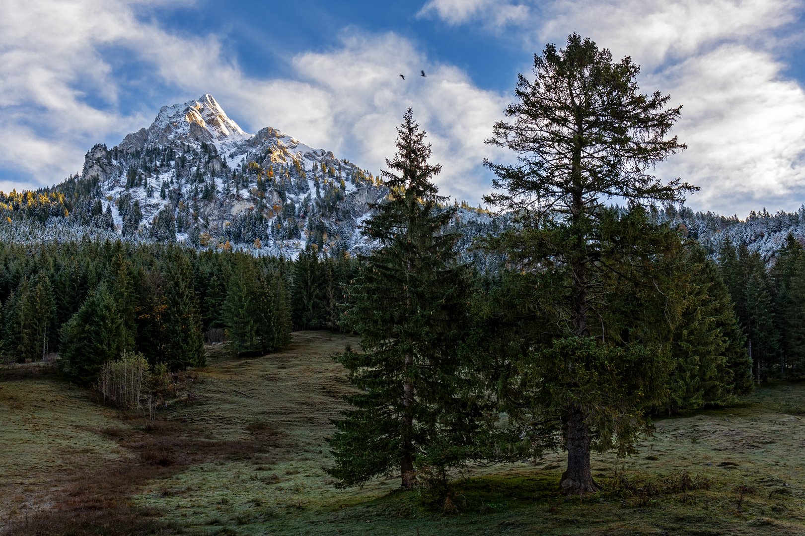 Der erste Schnee (2)...