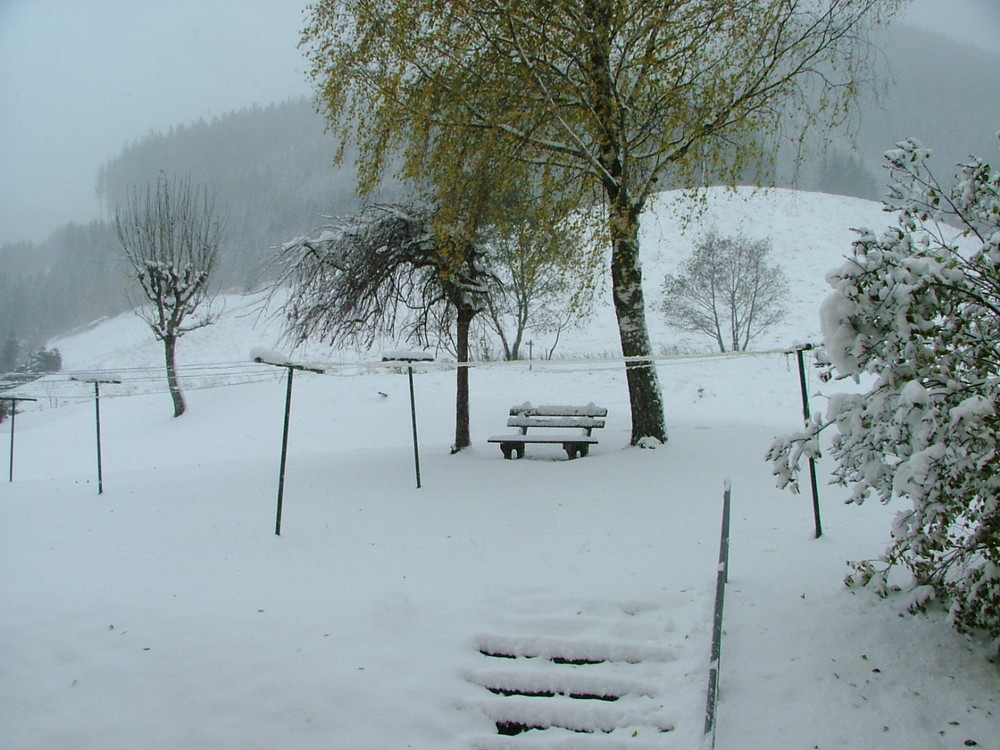 Der erste Schnee 2007