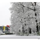 Der erste Schnee 2008