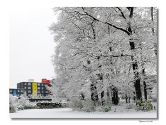 Der erste Schnee 2008