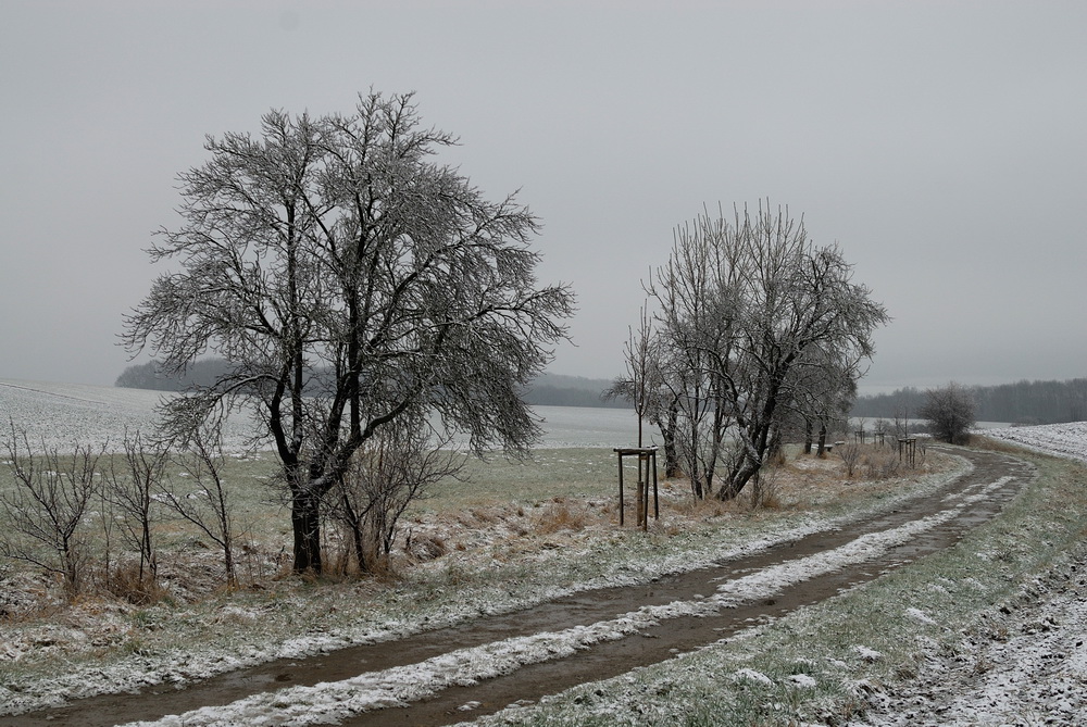 der erste Schnee 2014 (1)