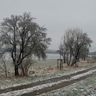 der erste Schnee 2014 (1)