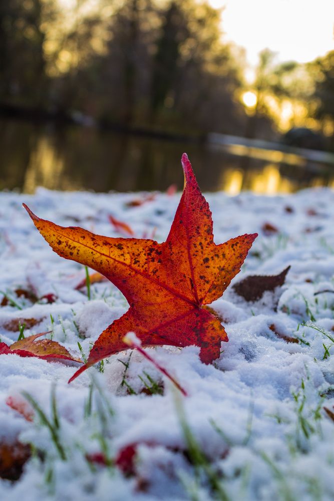 Der erste Schnee 2015 2