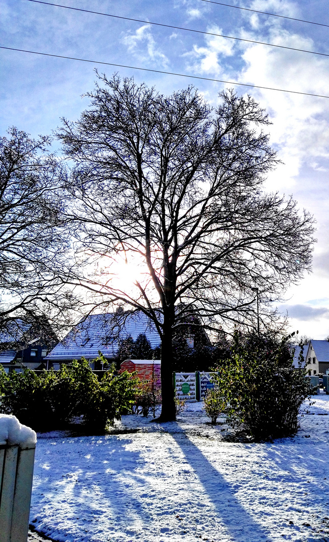 Der erste Schnee 2015