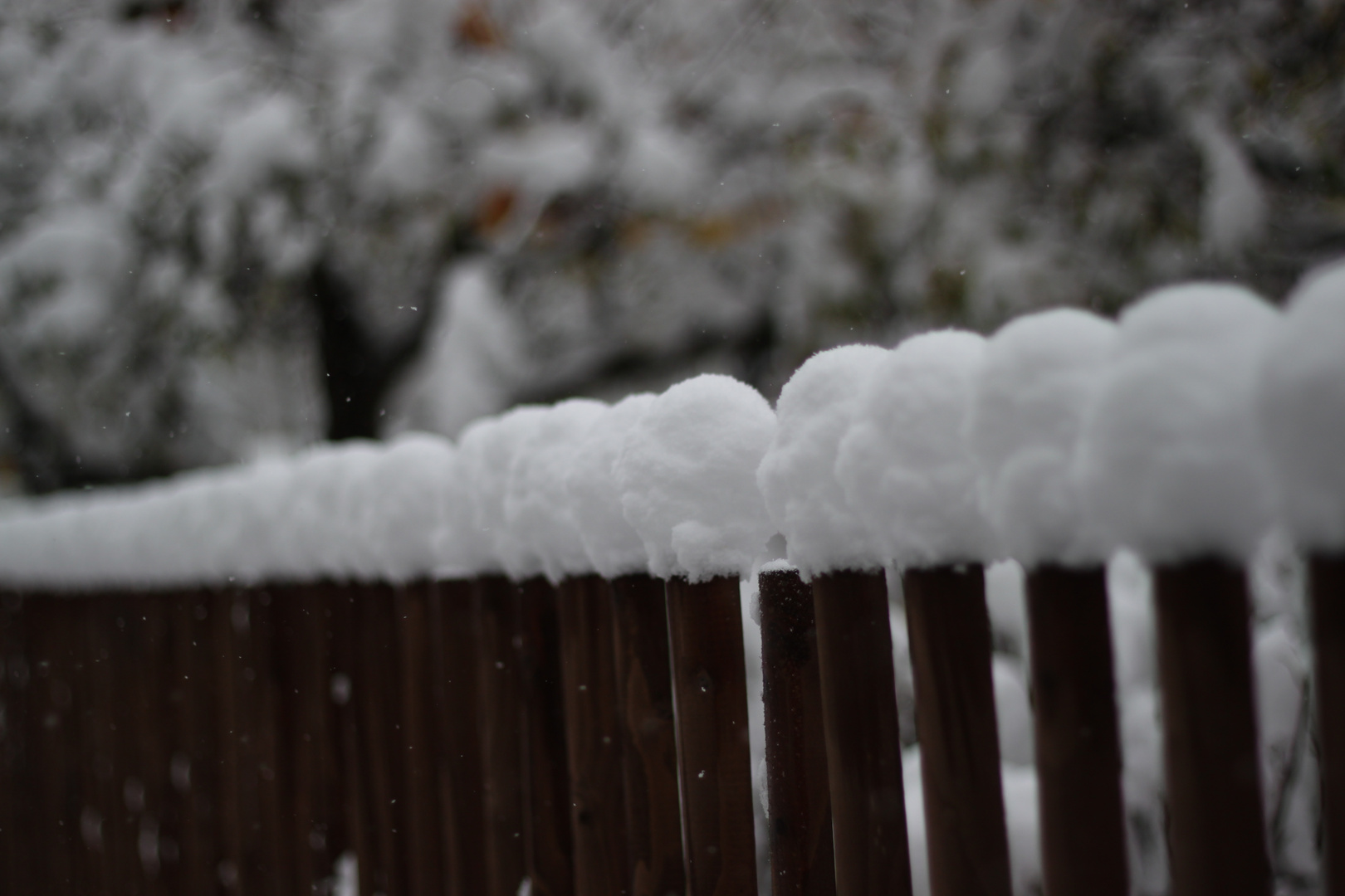 der erste Schnee...