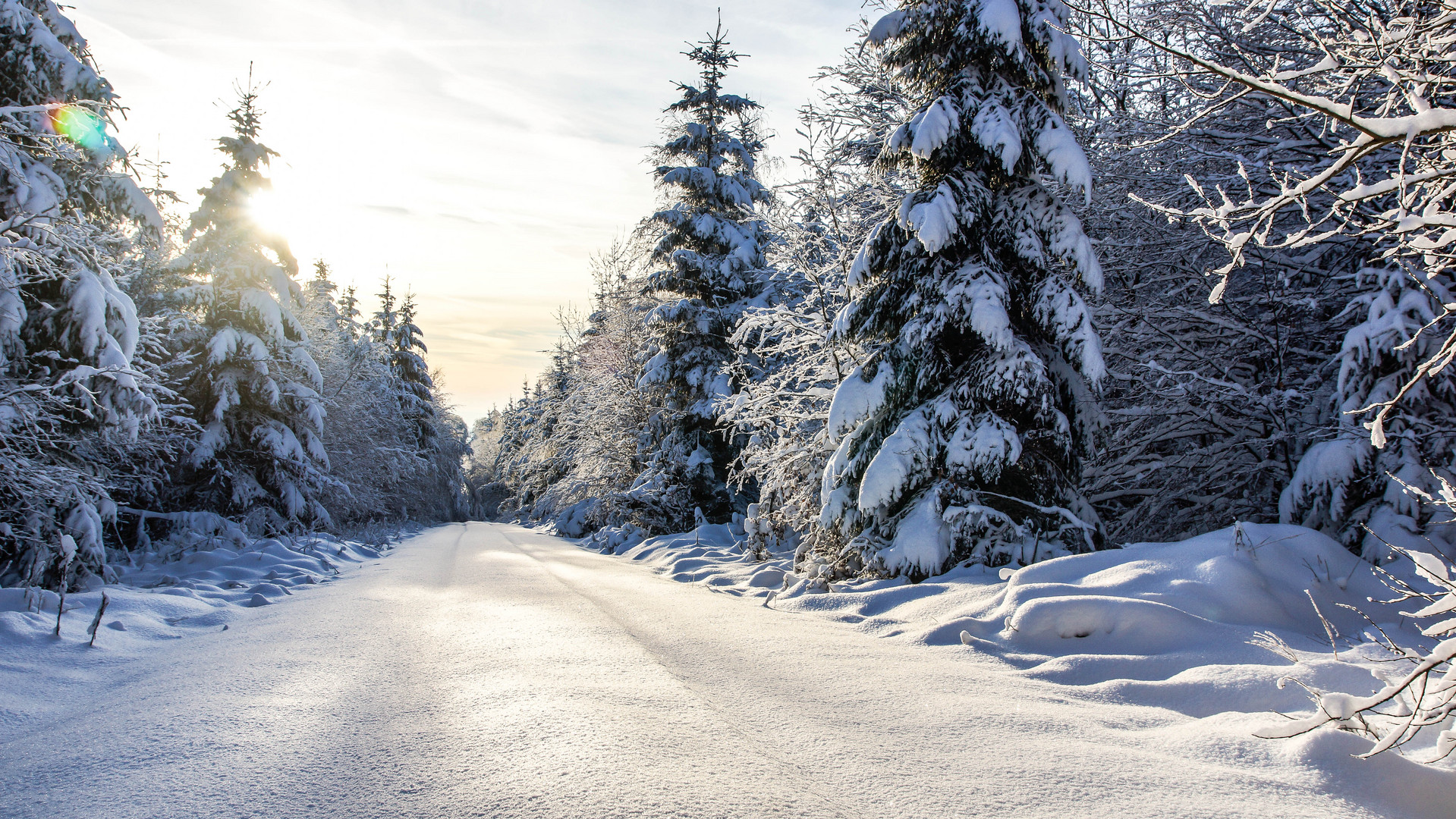 Der erste Schnee