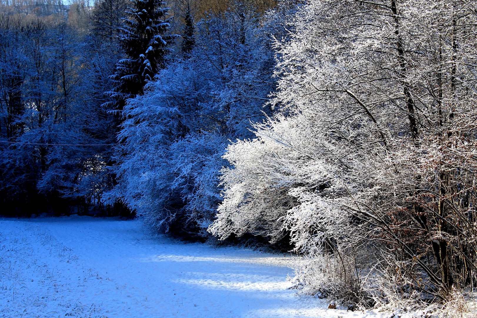 der erste schnee