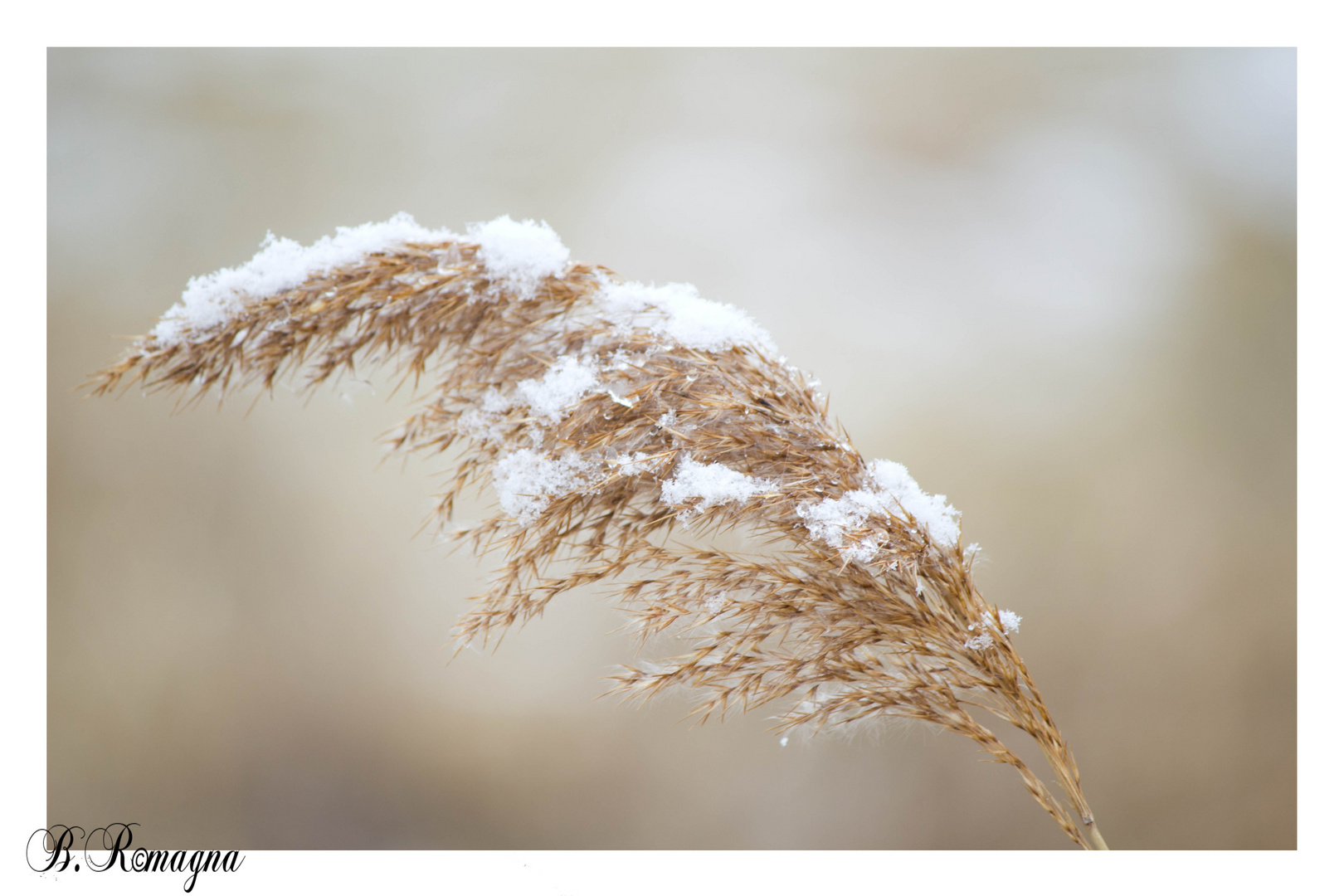 Der erste Schnee......