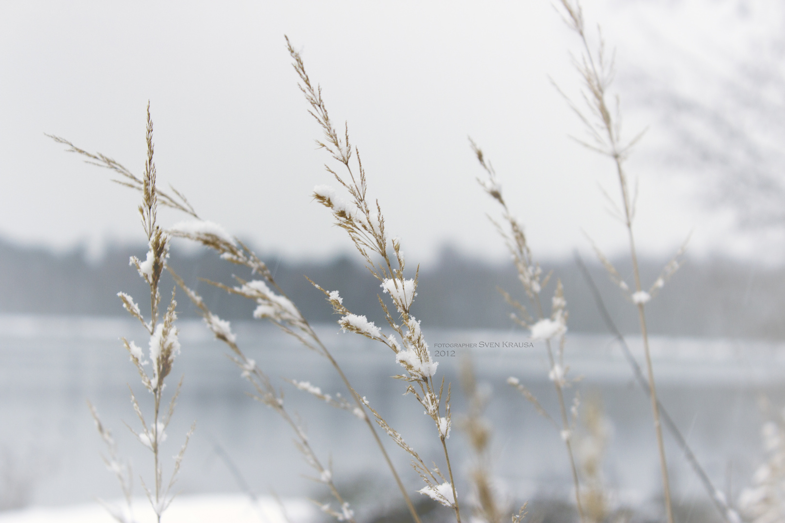 Der erste Schnee