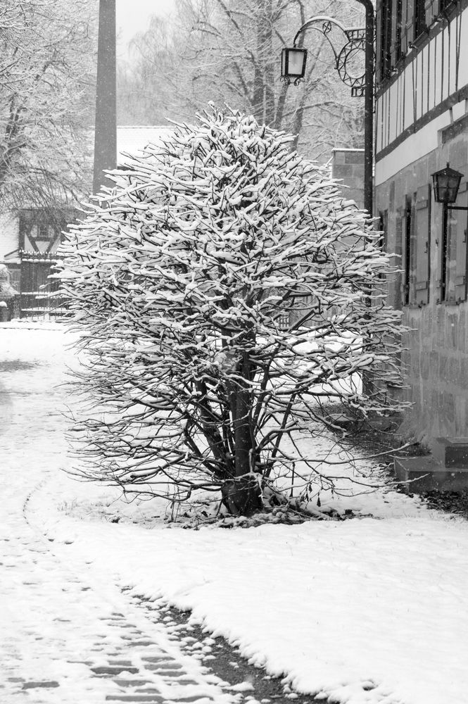 Der erste Schnee