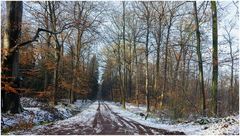 der erste Schnee