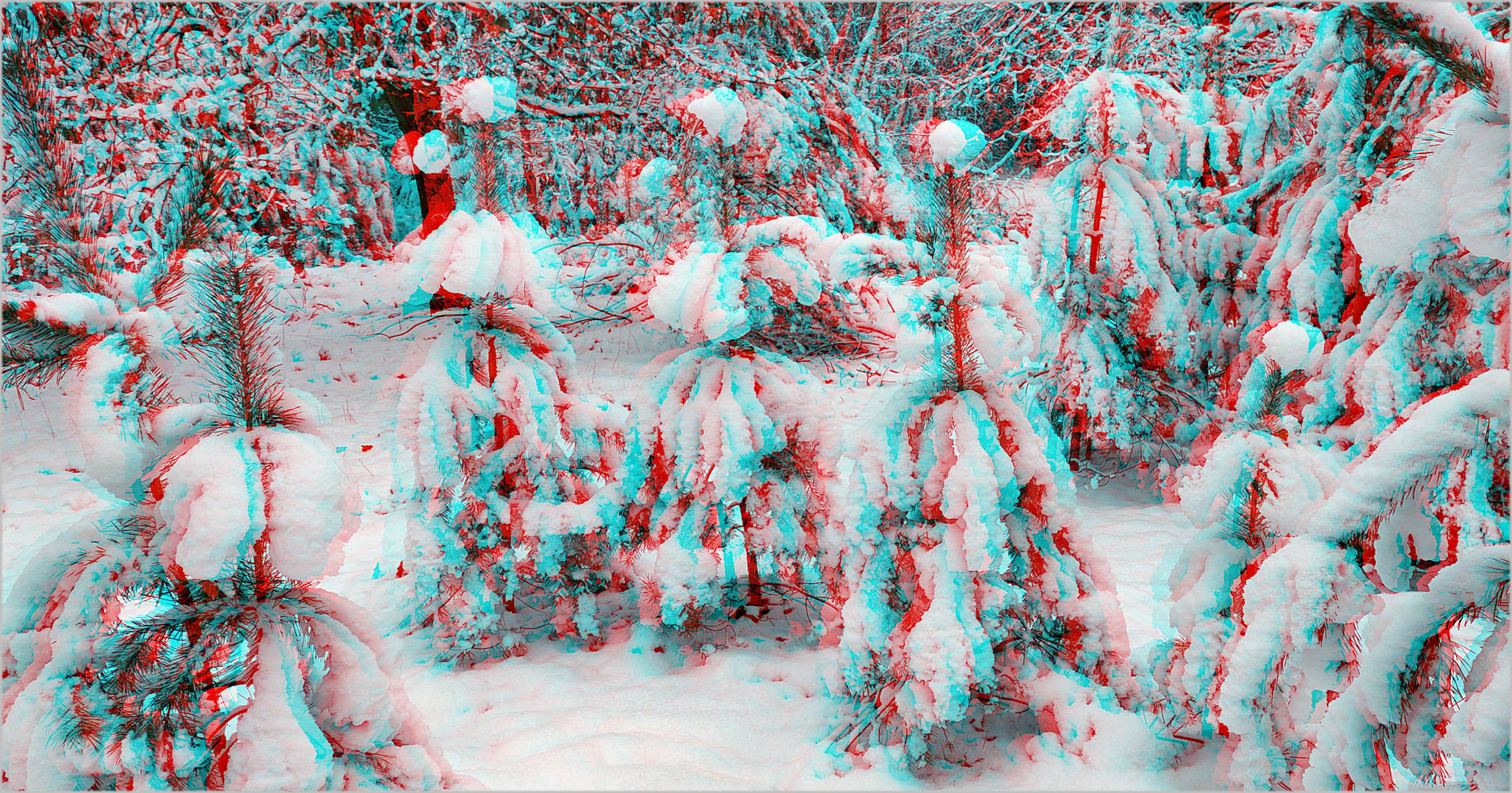 der erste Schnee (3D Stereo  Anaglyphe)