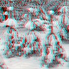 der erste Schnee (3D Stereo  Anaglyphe)