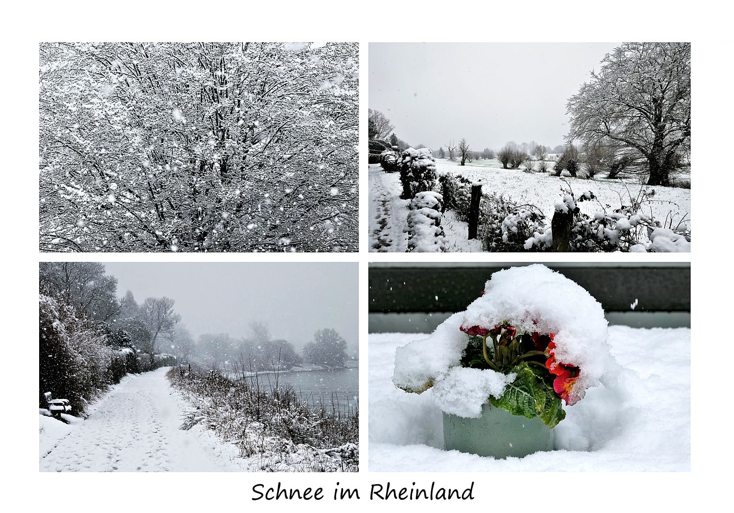 Der erste Schnee