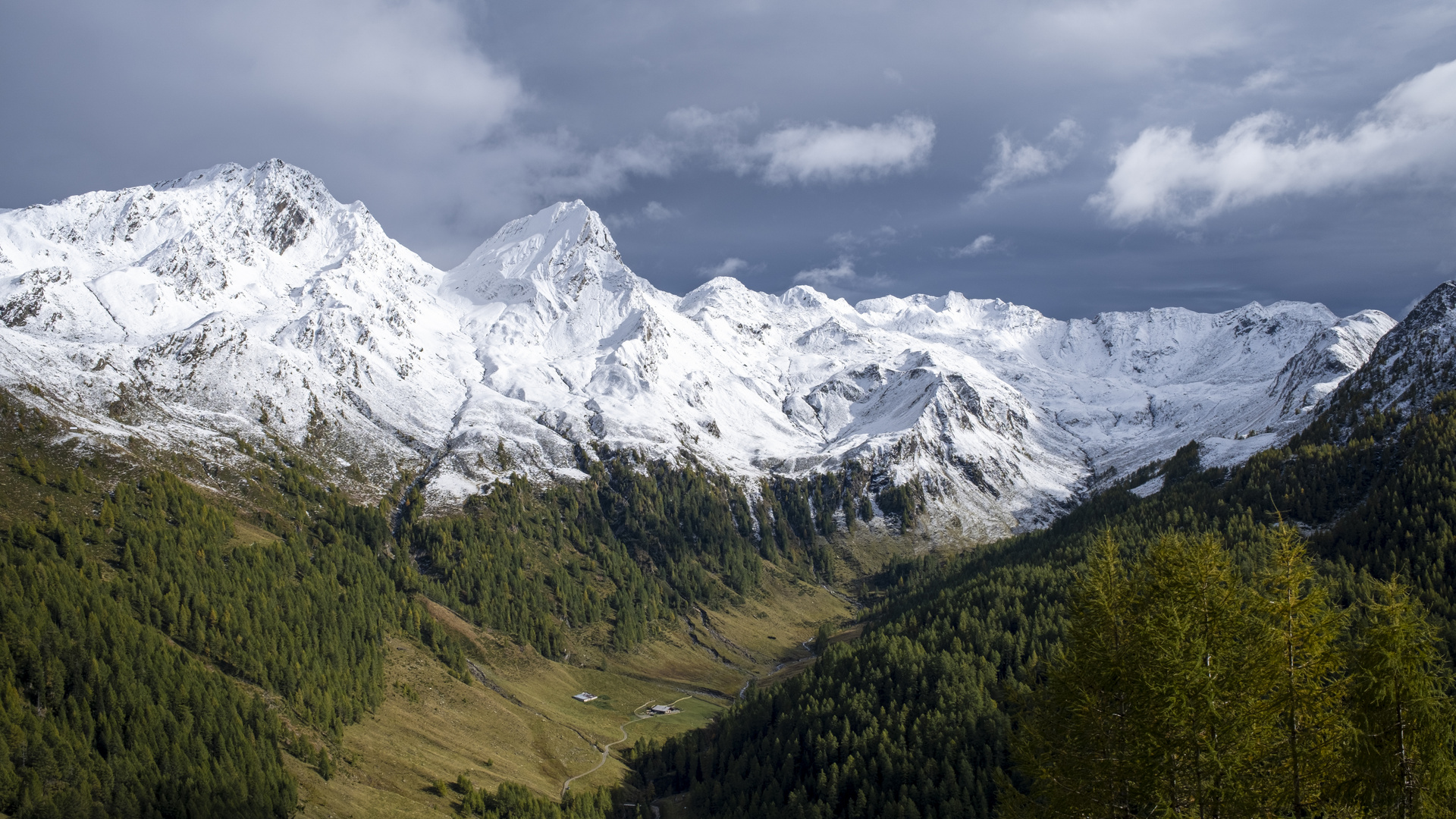 Der erste Schnee