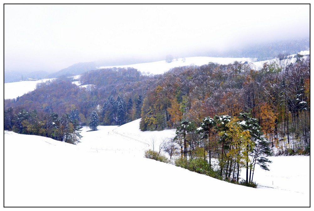 Der erste Schnee